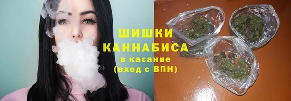 СК Гусев