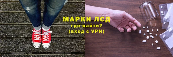 СК Гусев