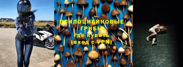СК Гусев
