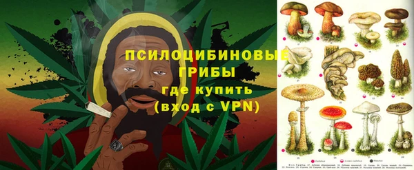 СК Гусев