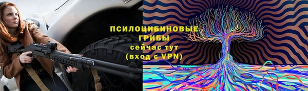 тгк Горно-Алтайск