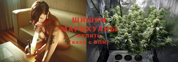 кристаллы Гусь-Хрустальный